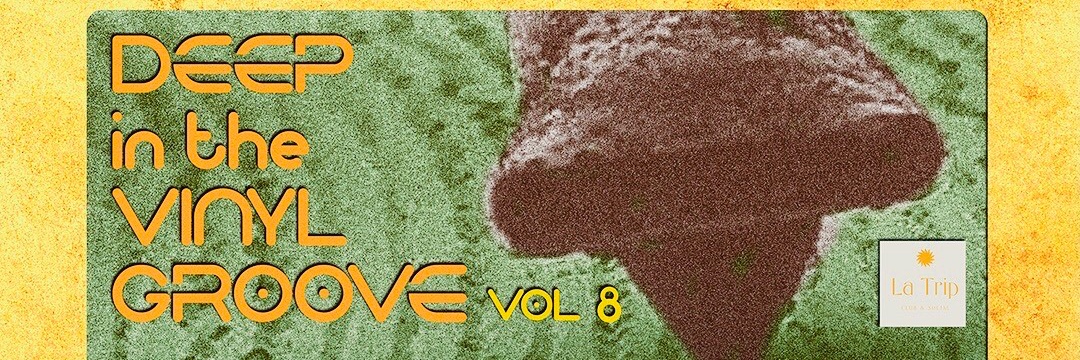 Deep In The Vinyl Groove Vol.8