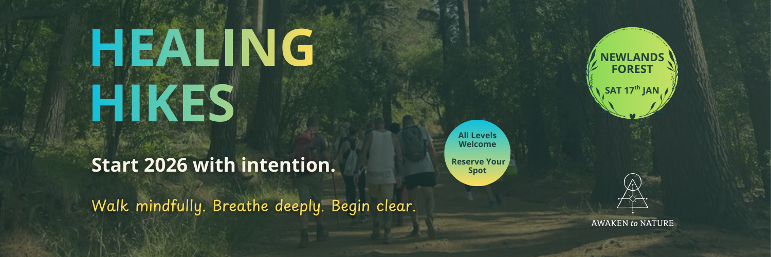 Healing Hike - Newlands Forest