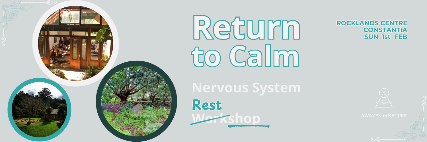Return to Calm - Nervous System Restshop