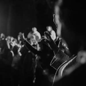 Forest Worship | Malmesbury