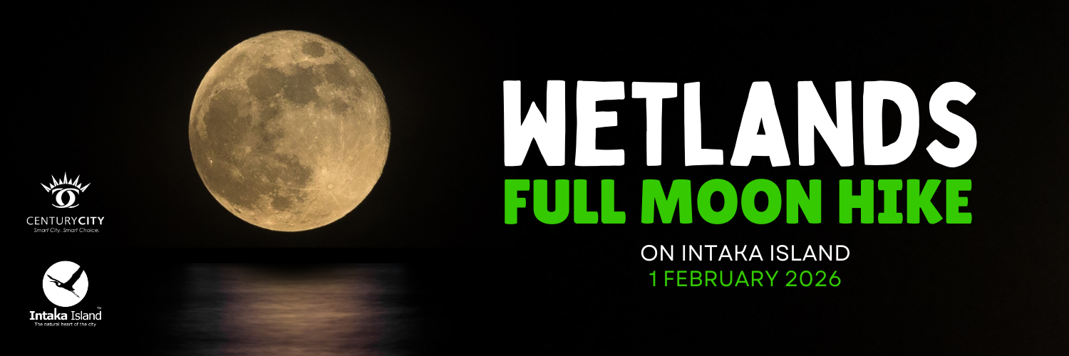 Full Moon Hike on Intaka Island - Wetlands Edition