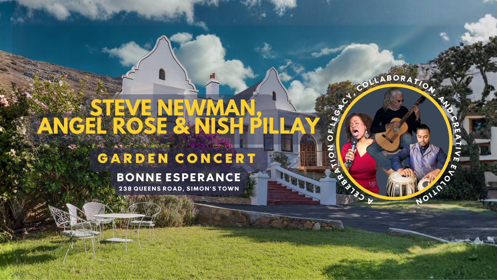 Steve Newman: Celebrating 50 Years