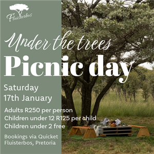 Under the trees picnic day