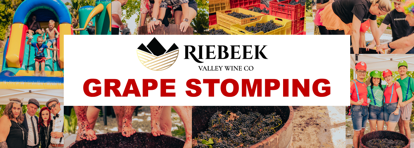 Grape Stomping