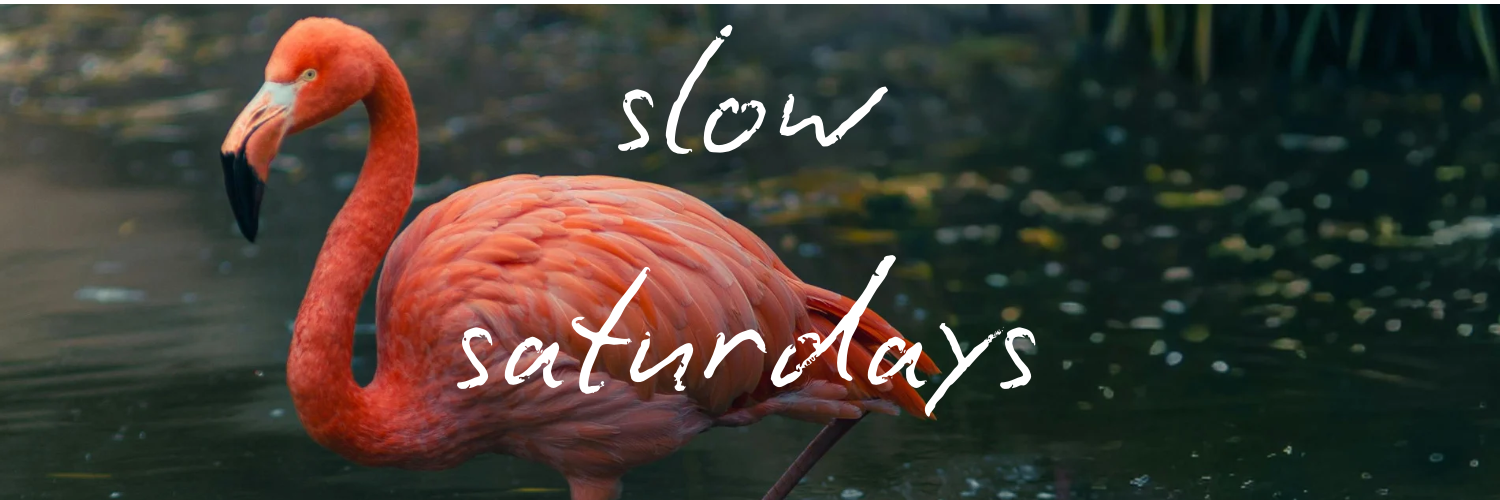 Slow Saturdays