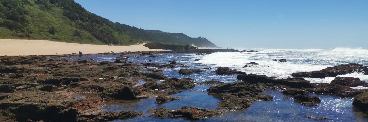 Treasure Beach Explorer