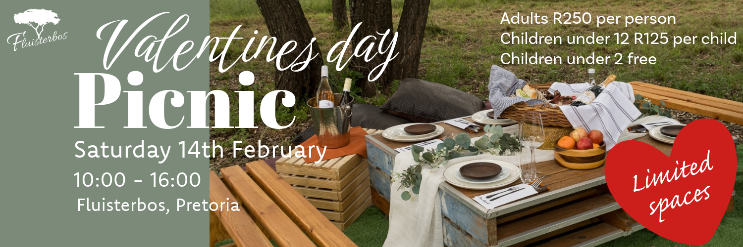 Valentine's day picnic