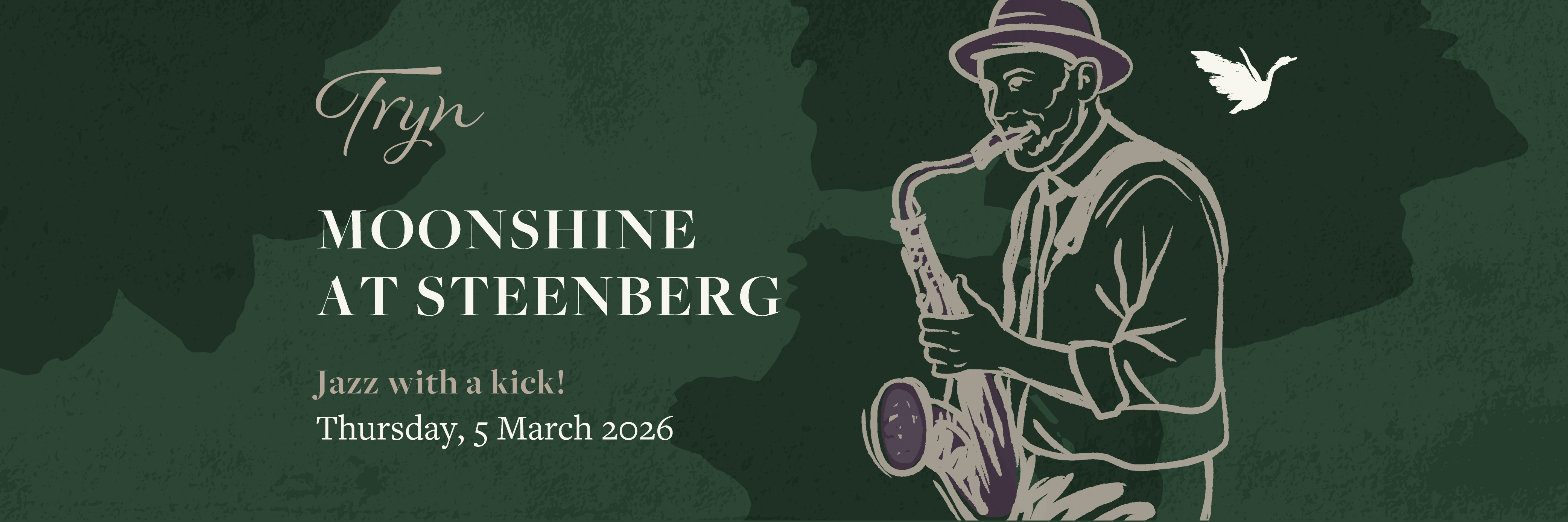 Steenberg Jazz Under the Stars