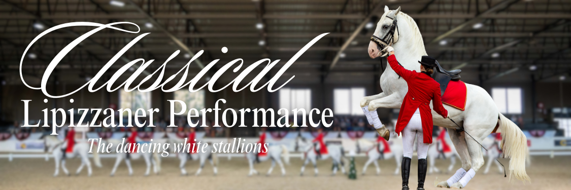 Classical Performance by the South African Lipizzaners