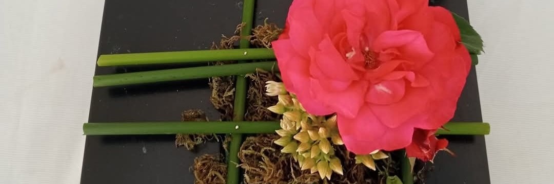 TEATER BY DIE SEE 2026 - PRET MET PLANTE BLOMMEWERKSWINKEL MET ANITA JORDAAN