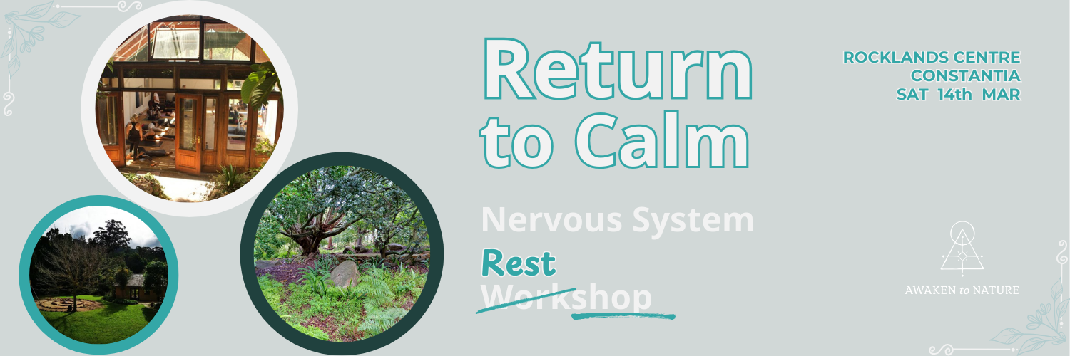 Return to Calm - Nervous System Restshop