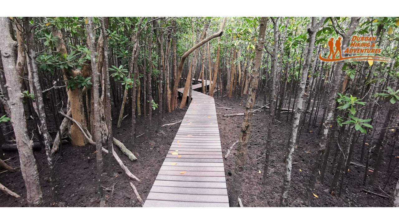 Umlalazi Nature Reserve Hike and Picnic