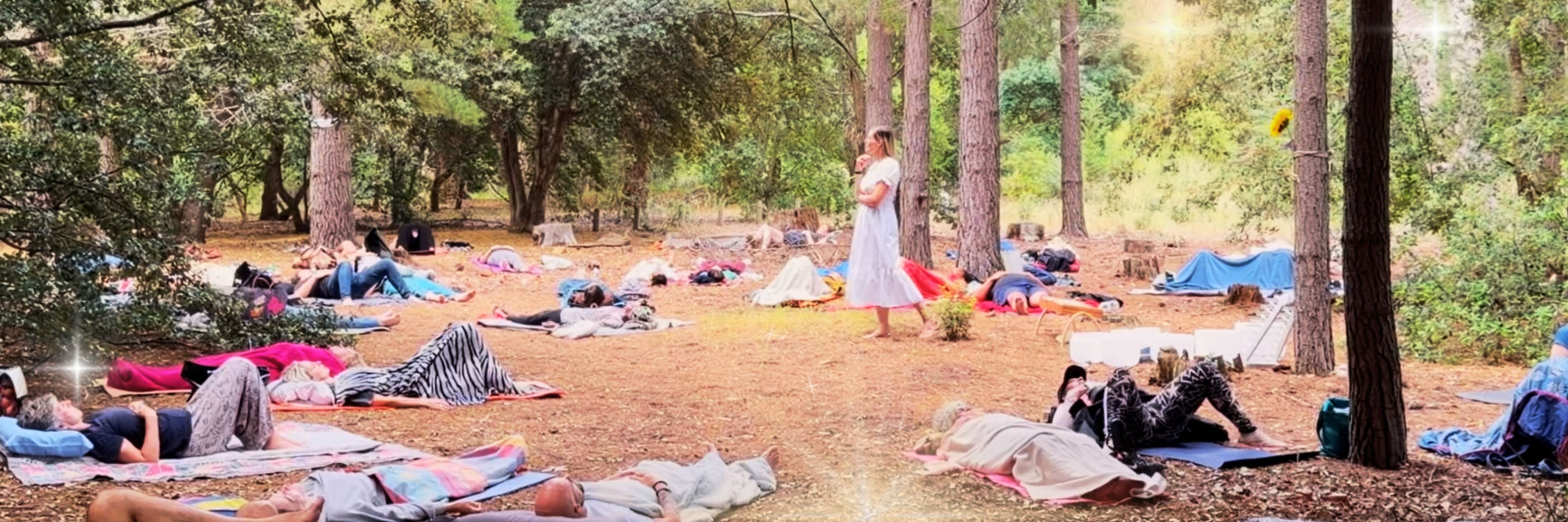 Sounds in the Forest 08/02