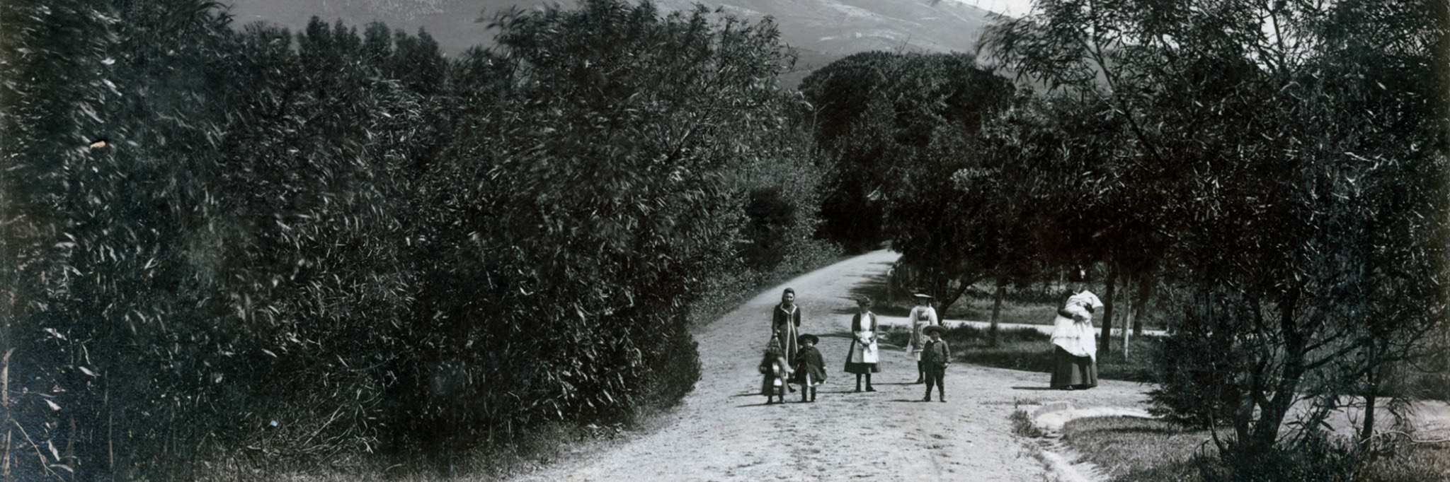 Last Night in Boho - An Obs Heritage Walking Tour