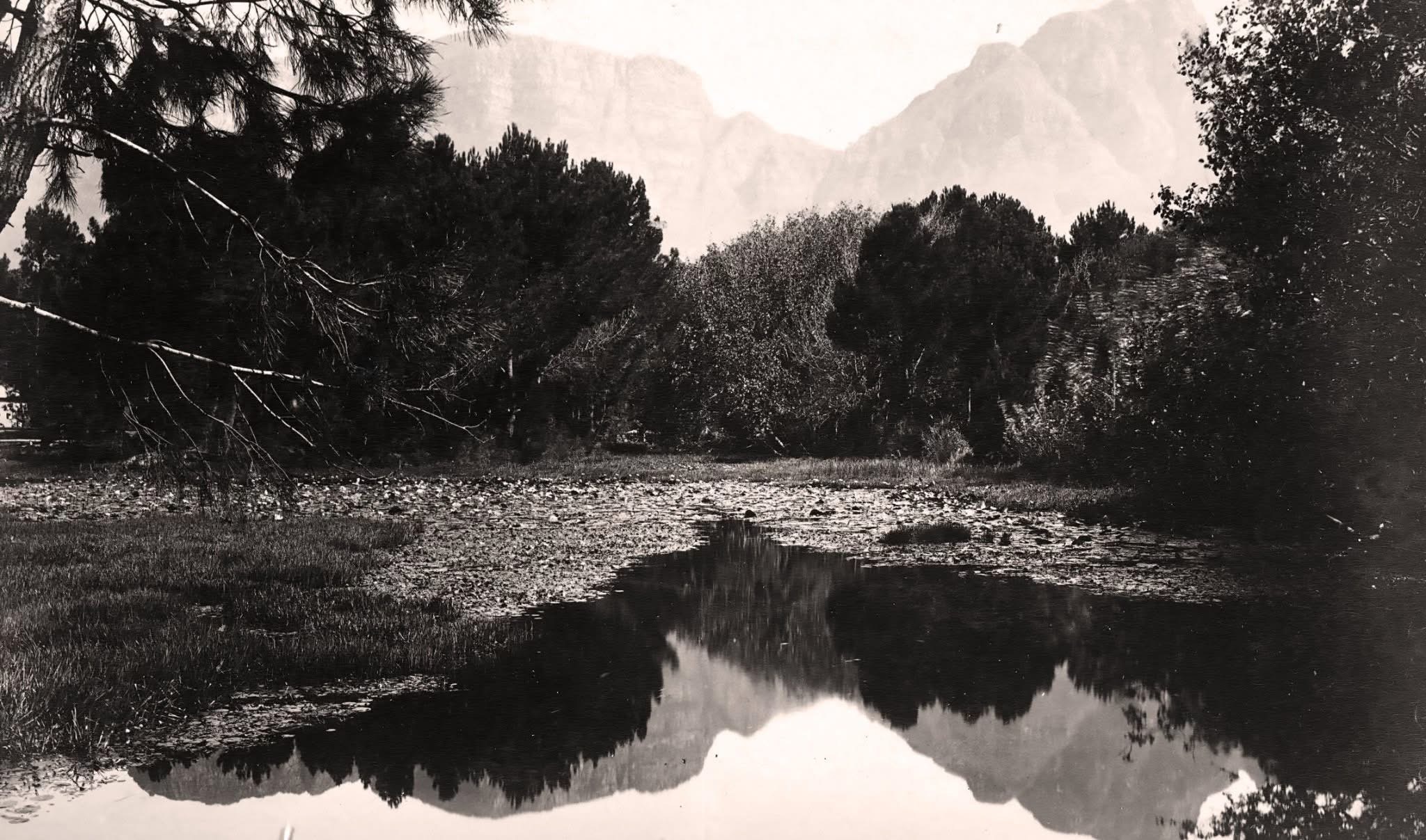 Safe Arbor - A Claremont Heritage Walking Tour