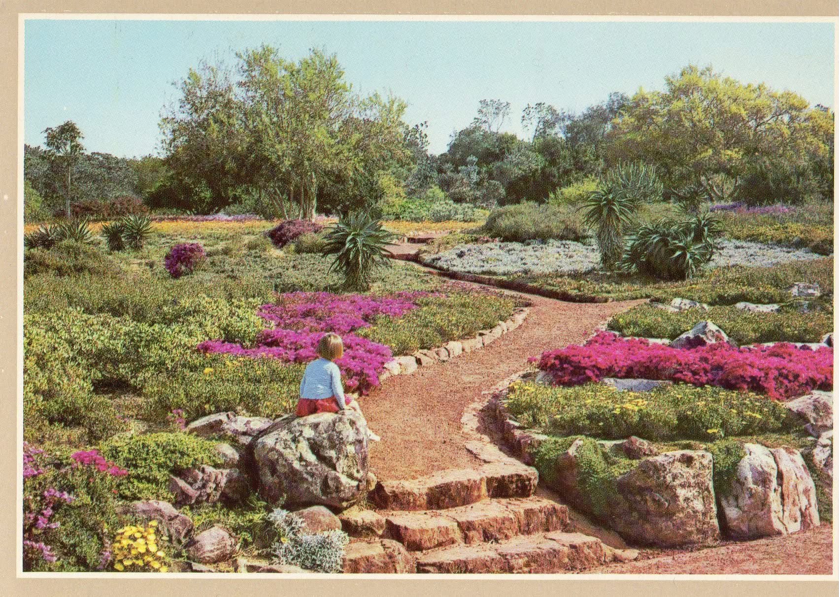 The Spring Cathedral - A Kirstenbosch Heritage Walking Tour