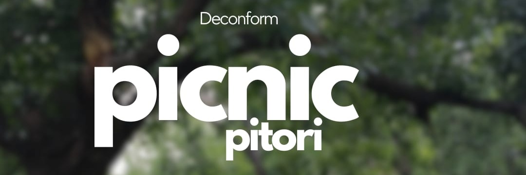 Gayest picnic Ever Pretoria