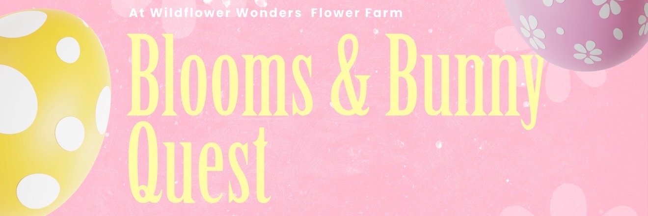 The Bloom and Bunny Quest