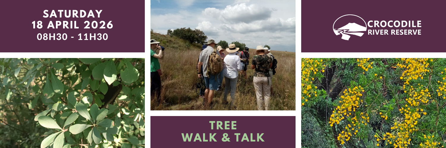 Tree Walk & Talk (2026)