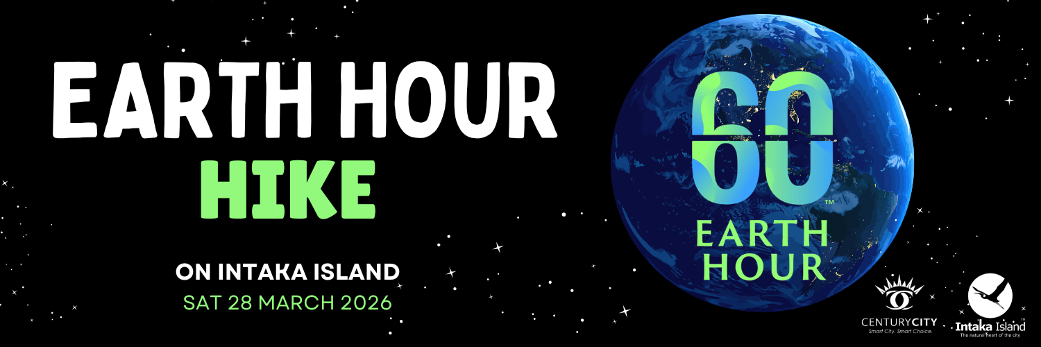 Earth Hour Hike on Intaka Island