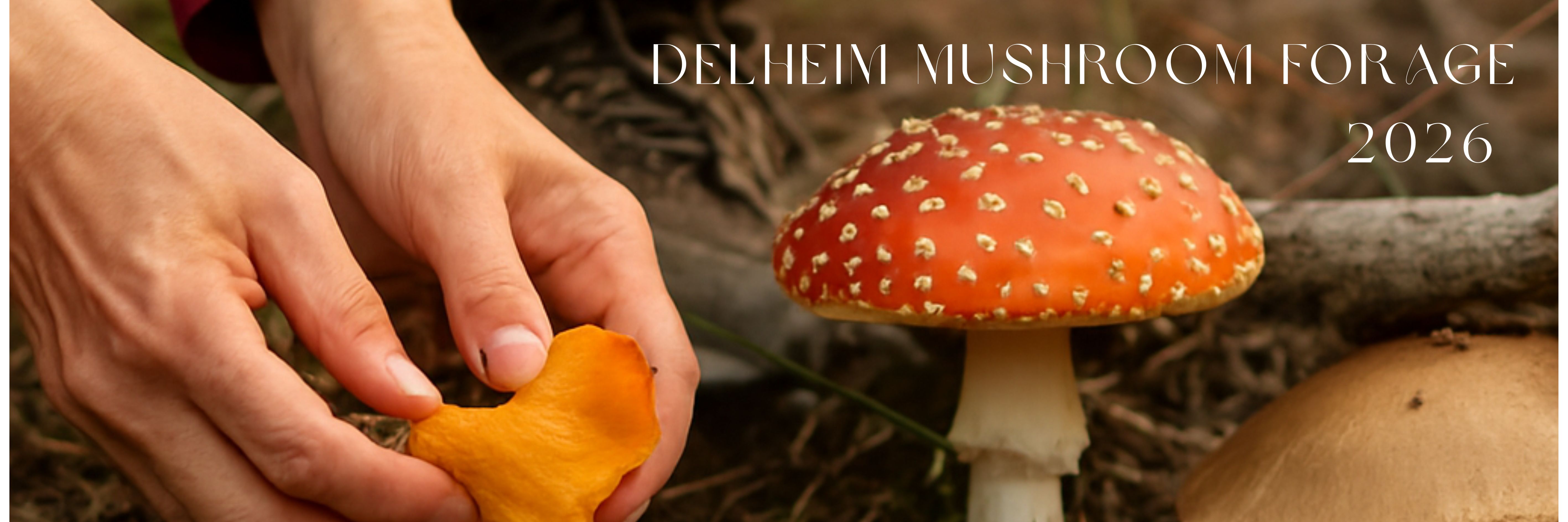 Delheim Mushroom Forage 2026