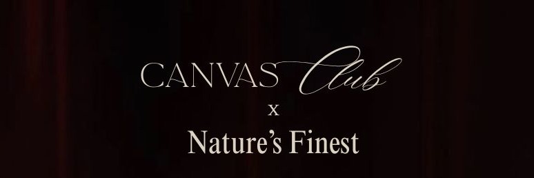 Canvas & Clues