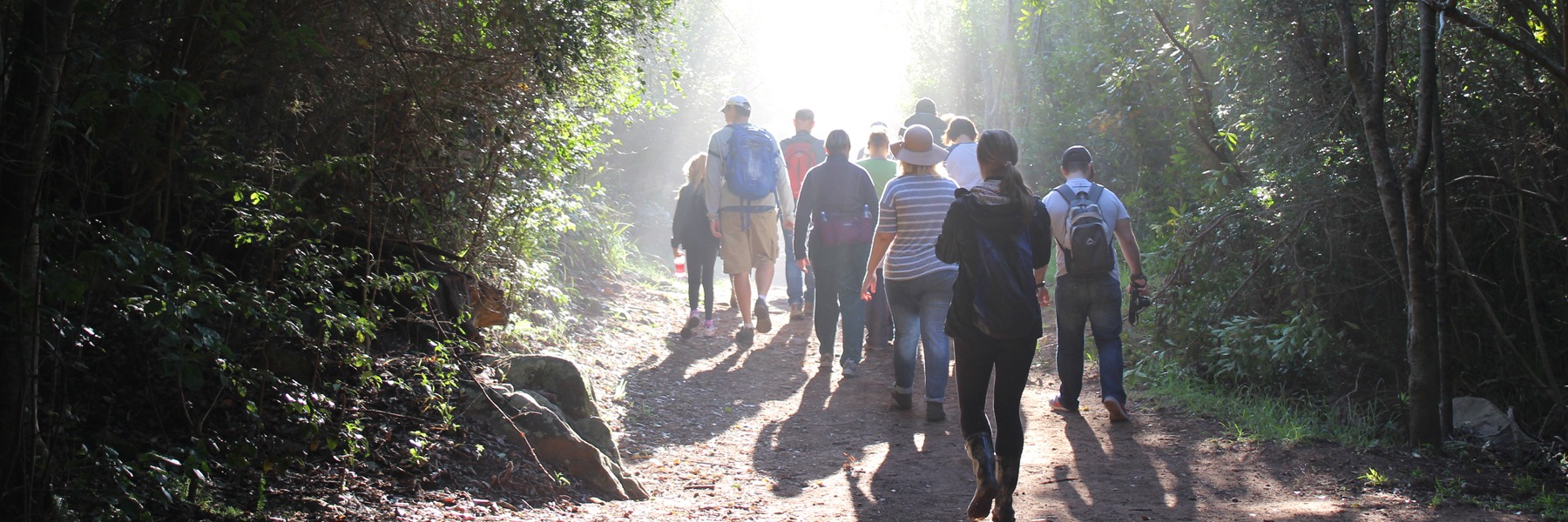 Mushroom Foraging with Justin Williams & Veld and Sea - 31 May