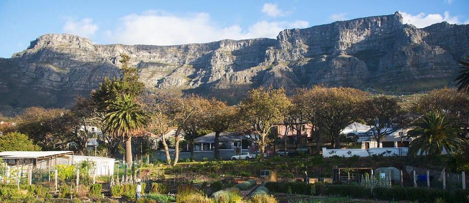 Natural Skincare Workshop