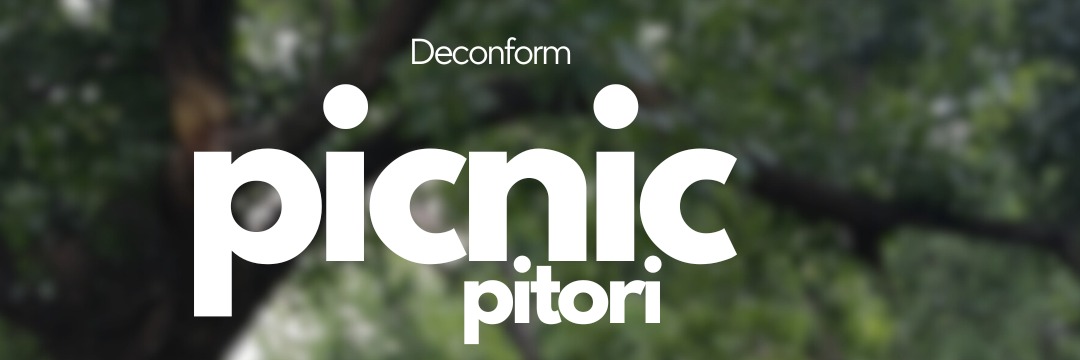 Gayest picnic Ever Pretoria