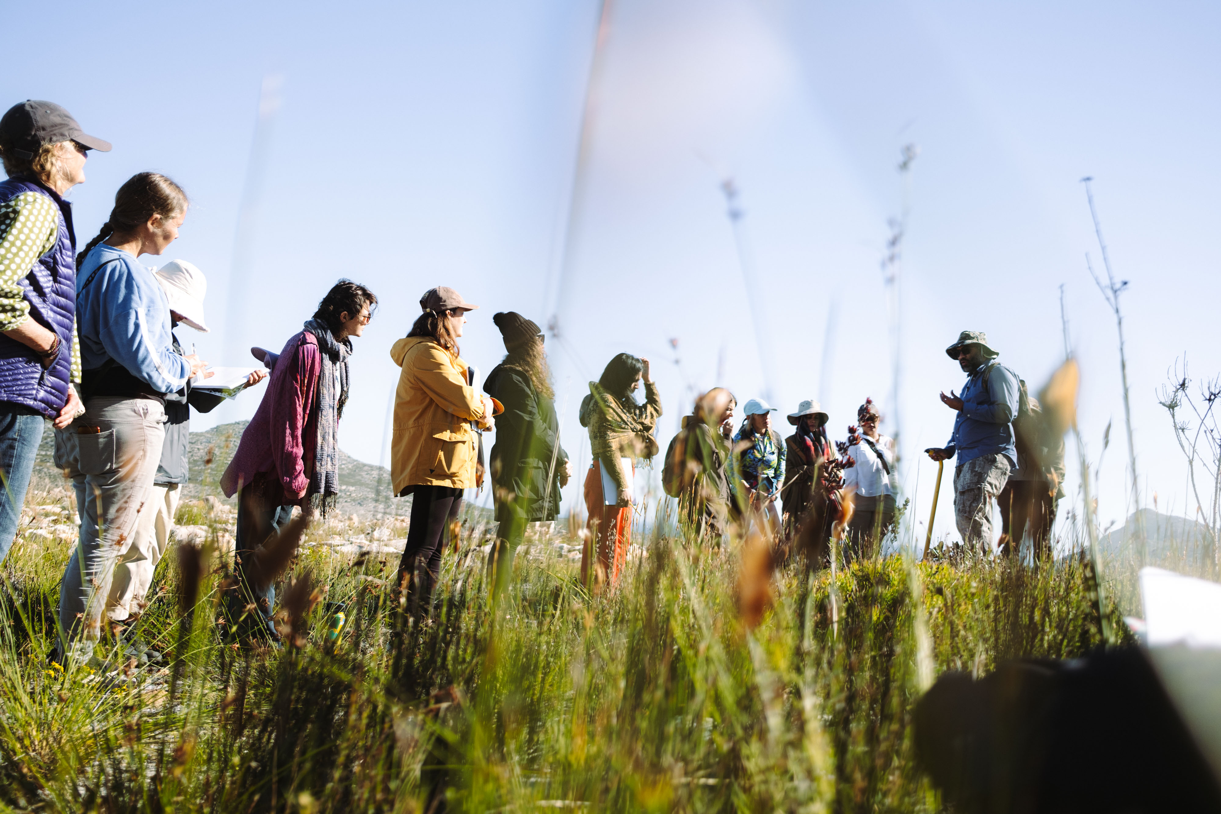 Guided Fynbos Walk with Rupert Koopman & Veld and Sea - 10 May