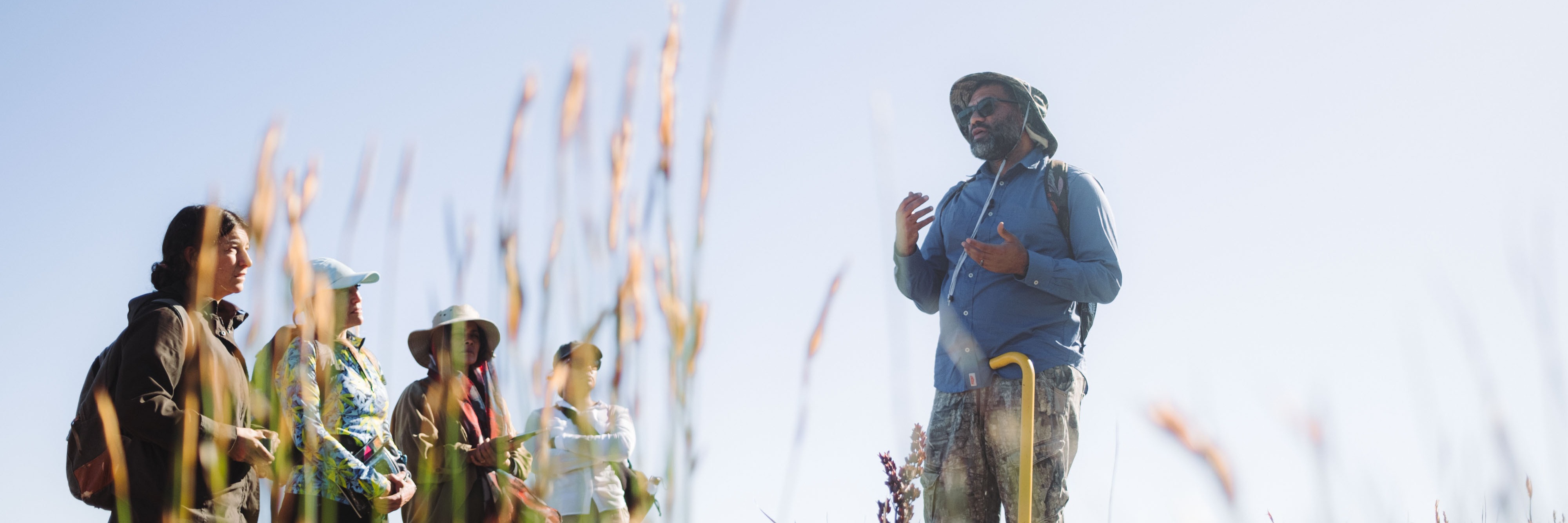Guided Fynbos Walk with Rupert Koopman & Veld and Sea - 1 August