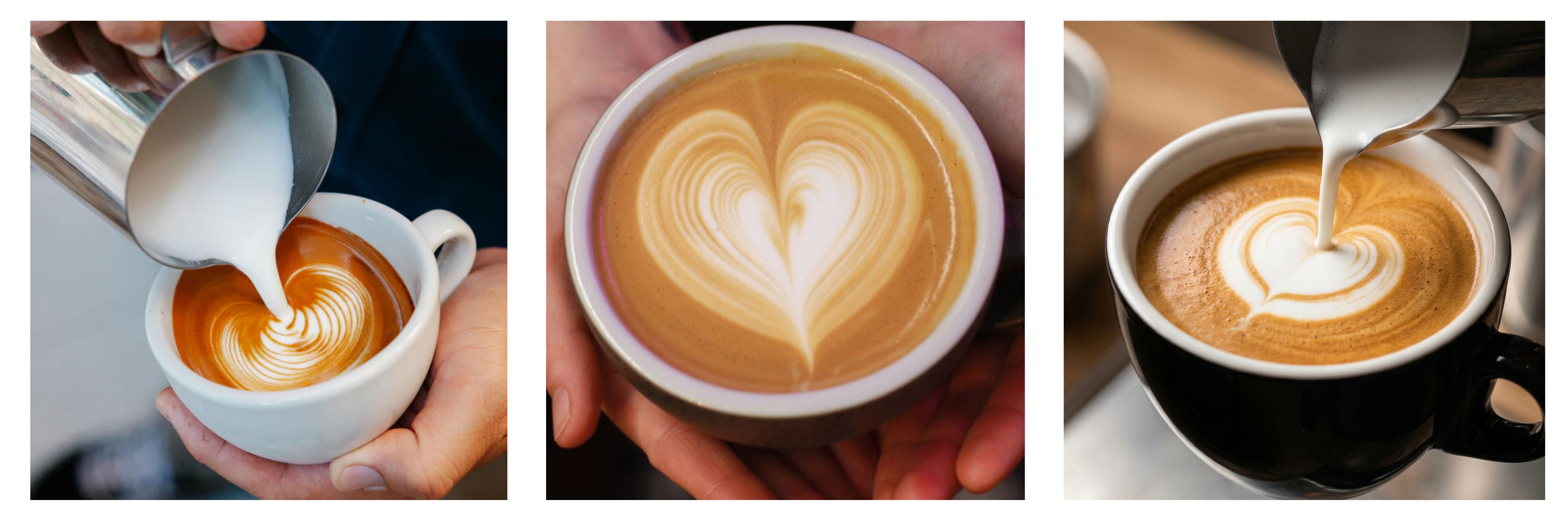 Introduction to Latte Art