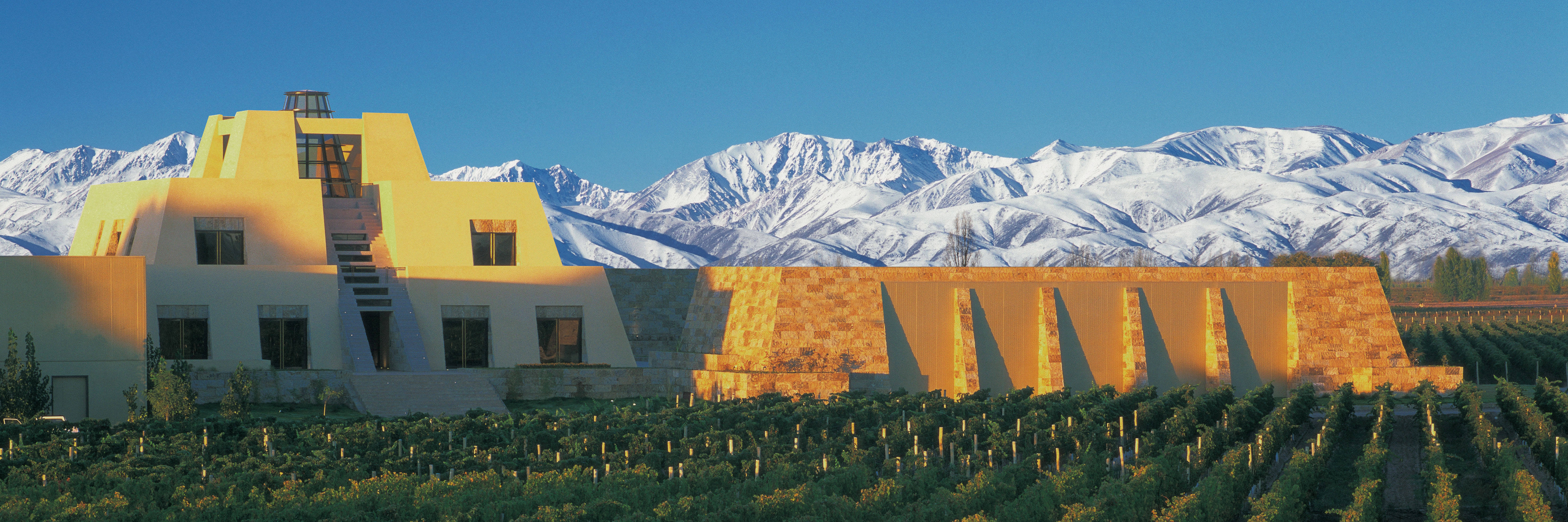 Catena Zapata - Most Admired Wine Brand & World Malbec Day (JHB)