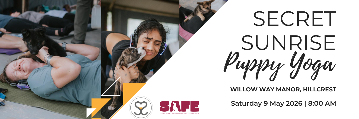 Secret Sunrise Durban - Puppy Yoga