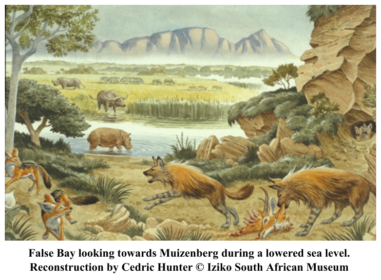 Surfing the million-year archaeological history of Muizenberg