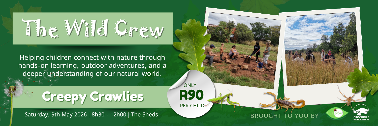 Wild Crew Outing @ The Sheds: Creepy Crawlies
