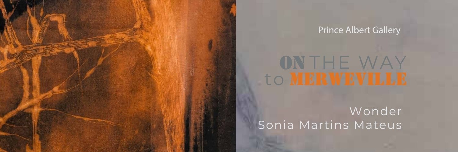 EXHIBITION OPENING On the way to Merweville — an exhibition by Sonia Martins Mateus & Wonder