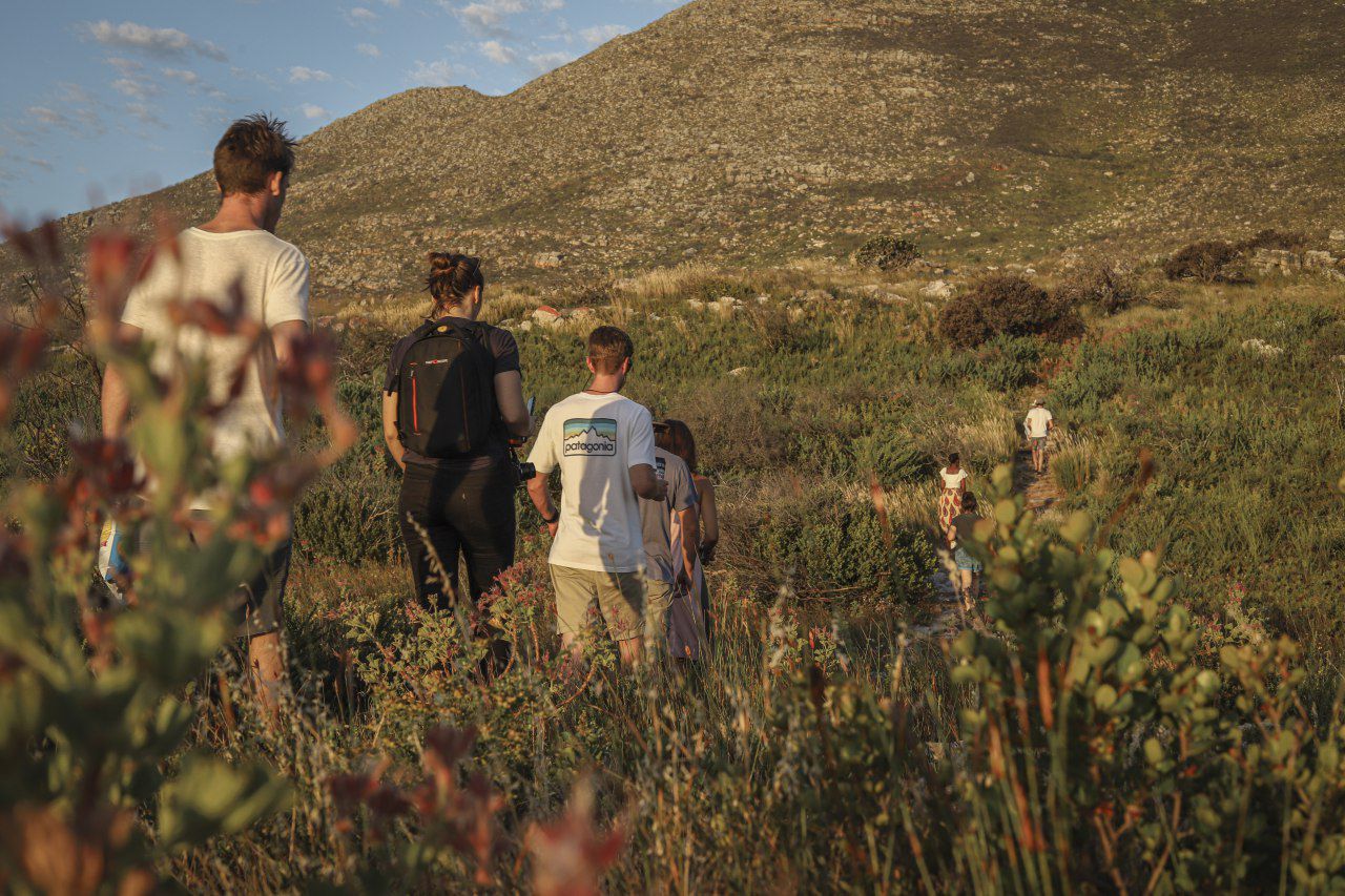 Wild Food Land Foraging Talk, Walk & Tasting - 13 June