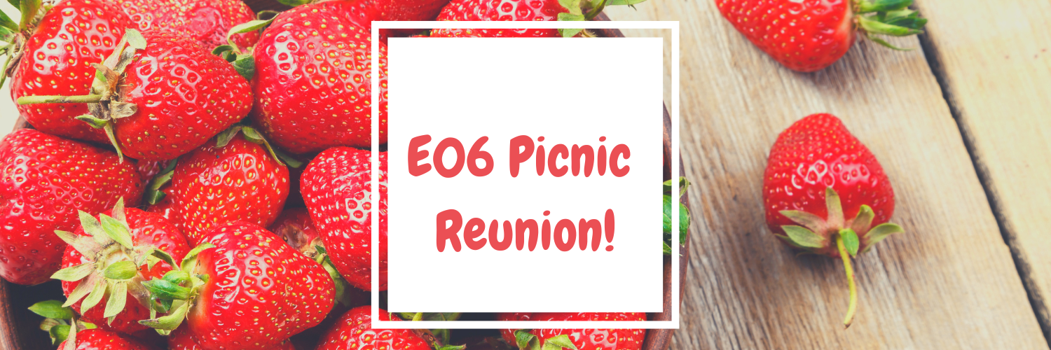 E06 Picnic Reunion