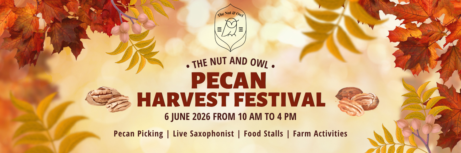 Pecan Harvest Festival
