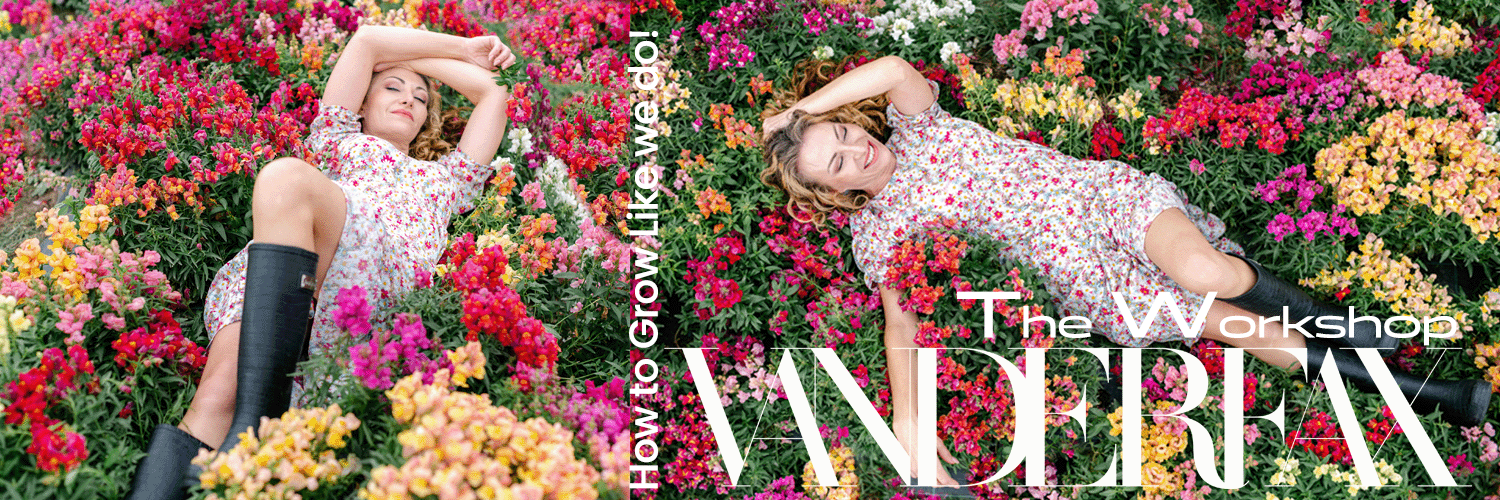 Gumboots & Greenfingers