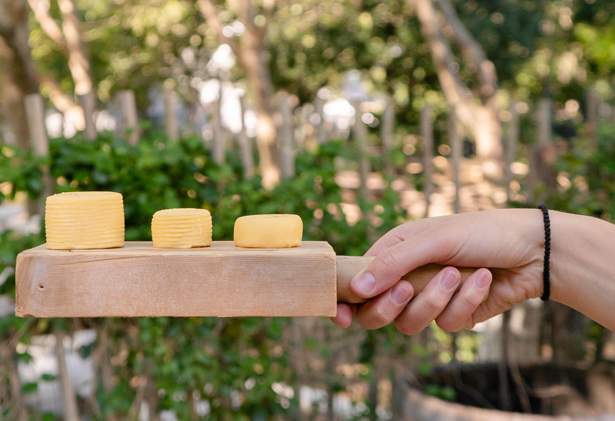 Cultured Butter & Cheese making Workshop