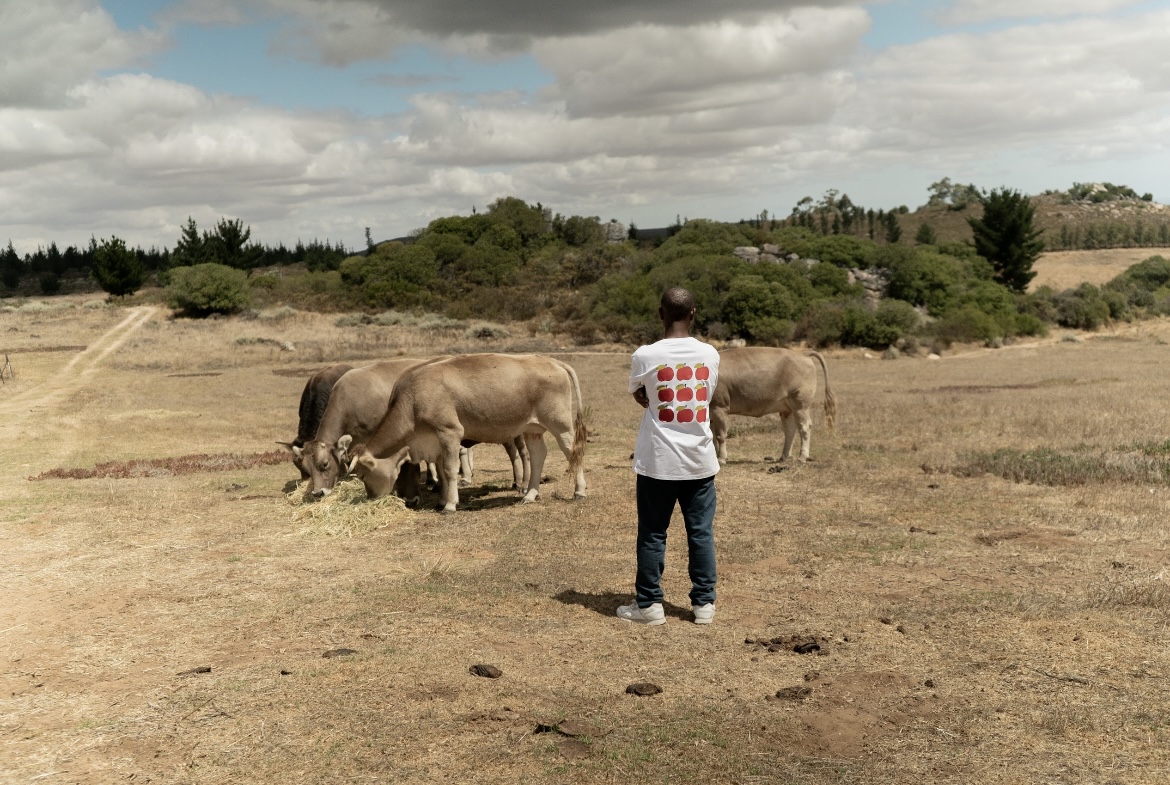 Cultured Butter & Cheese making Workshop 