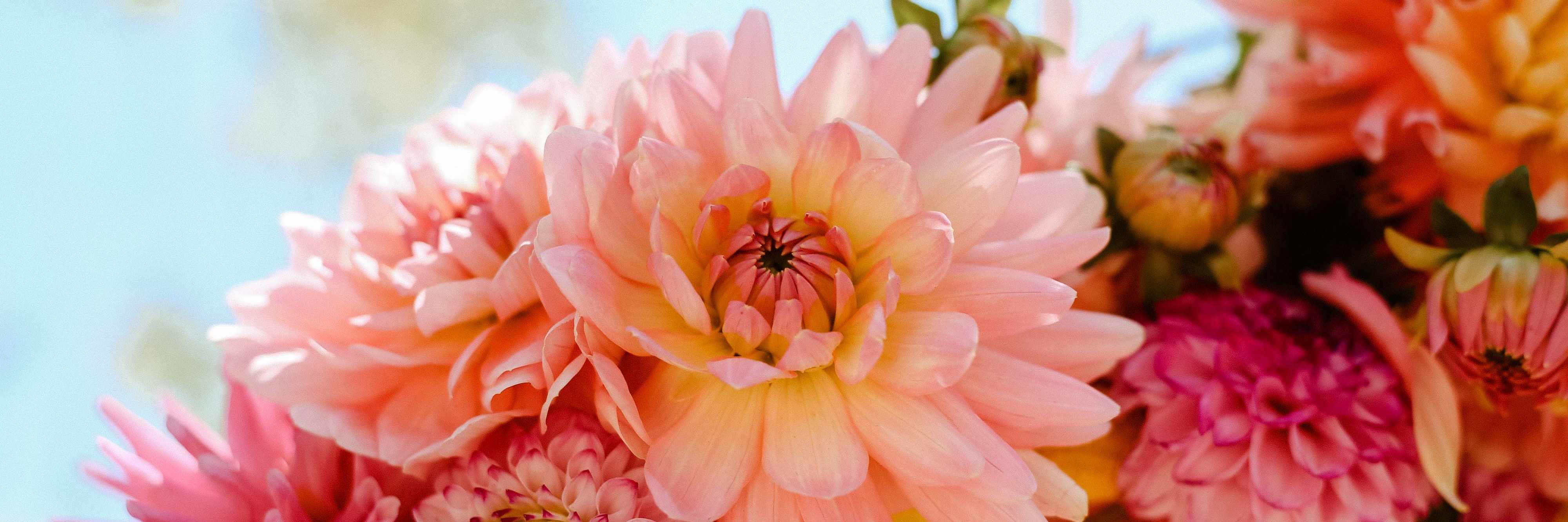 Mother's Day Flower Crown Workshop