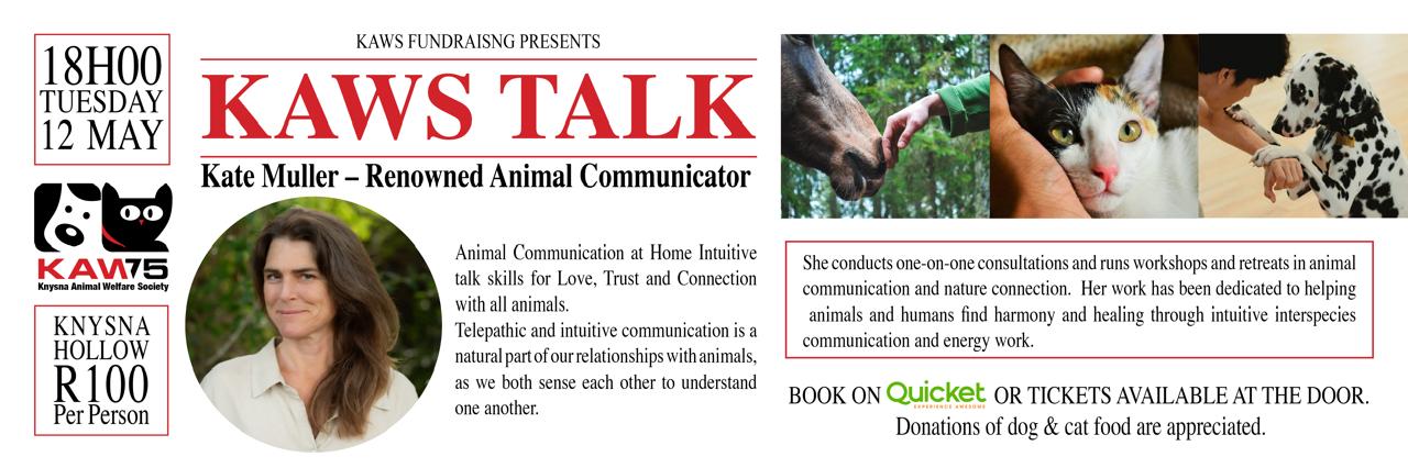 KAWS TALK - Animal Communication by Kate Muller
