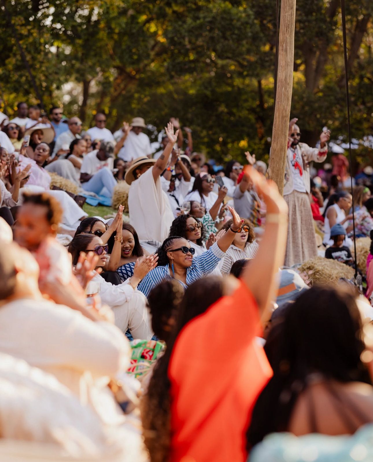 Limpopo Healing Garden Fest