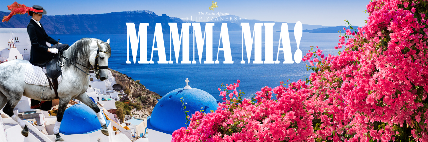 A Mamma Mia Celebration with the South African Lipizzaners