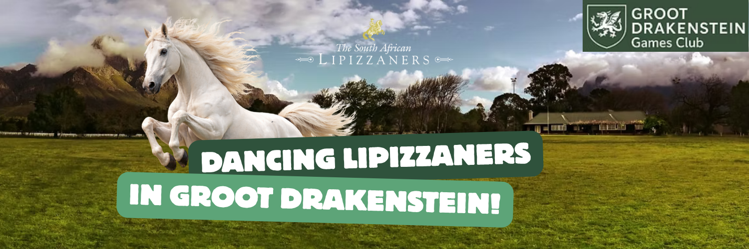 South African Lipizzaners Dancing in Groot Drakenstein