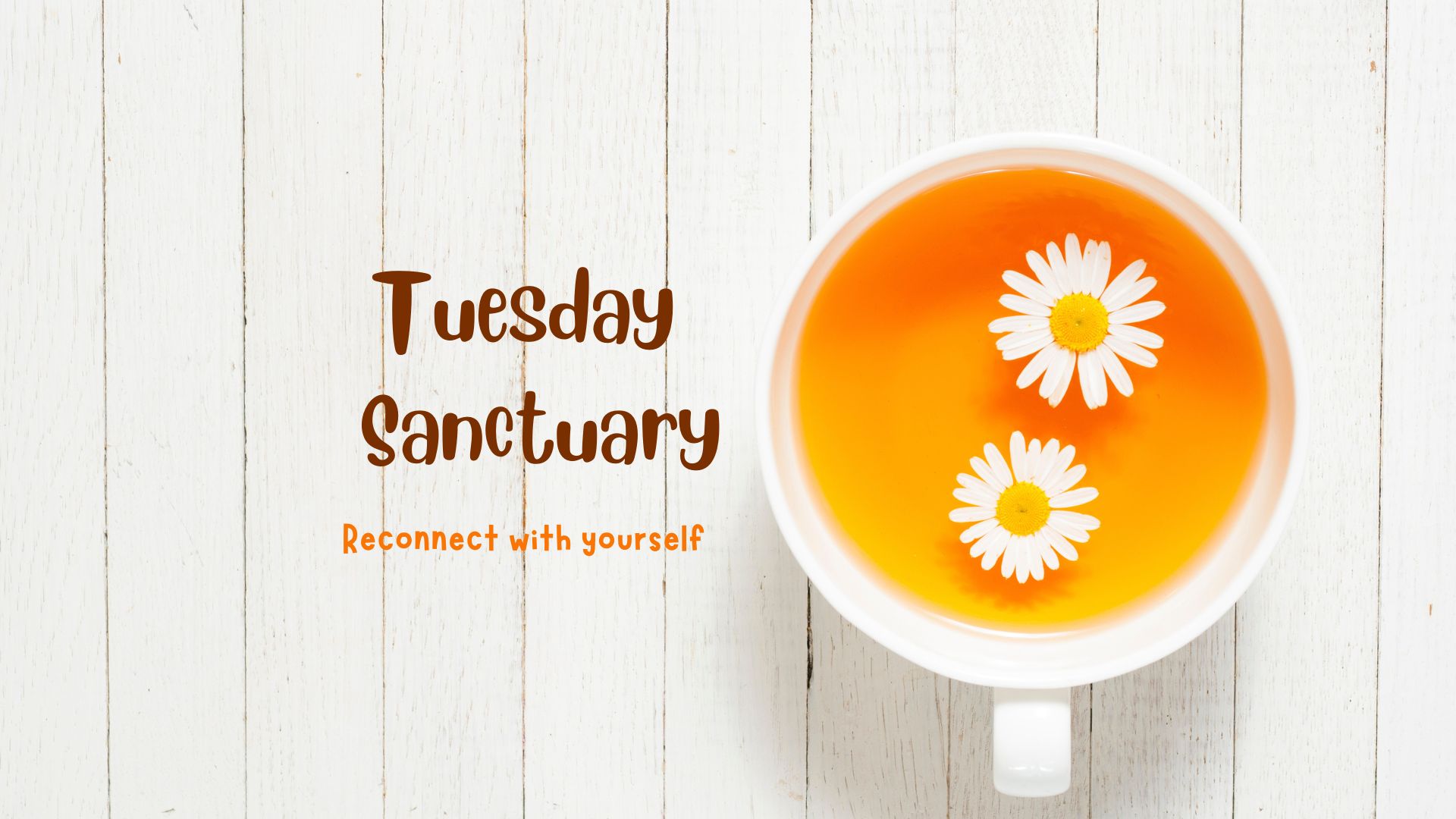 Tuesday Sanctuary