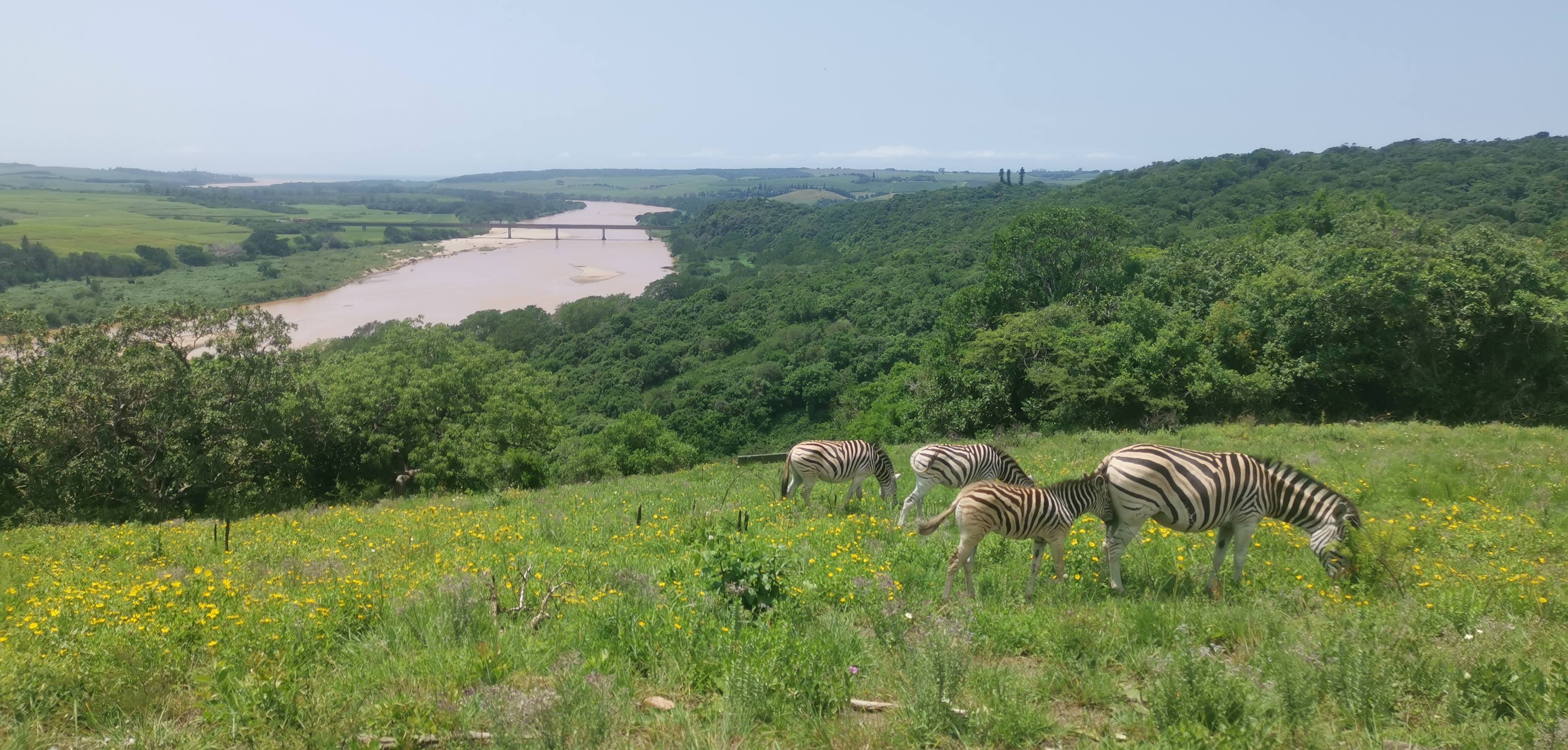 Harold Johnson Nature Reserve Hike